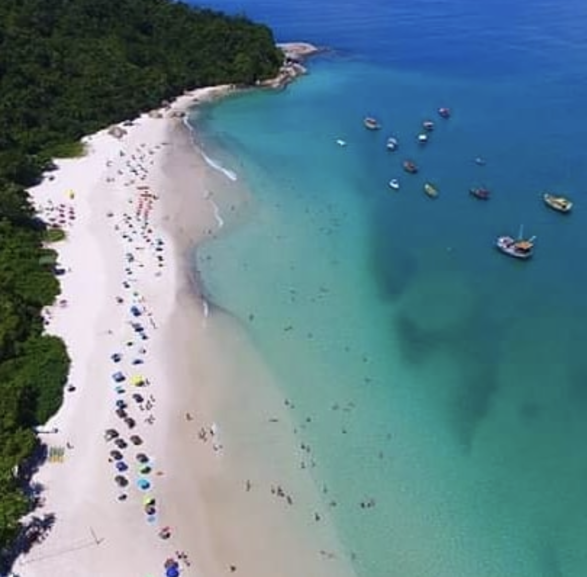 ILHA DO CAMPECHE SAÍDA BARRA DA LAGOA